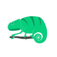 Chameleon IT Service LLC logo, Chameleon IT Service LLC contact details