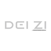 DEI ZI logo, DEI ZI contact details