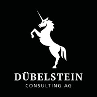 Dübelstein Consulting AG logo, Dübelstein Consulting AG contact details