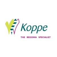 Koppe Begonia logo, Koppe Begonia contact details