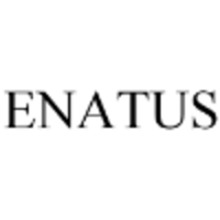 Enatus Consulting AB logo, Enatus Consulting AB contact details