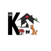 La Kaseta de Duve logo, La Kaseta de Duve contact details