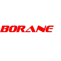 BORANE OUTSOURCING SLL logo, BORANE OUTSOURCING SLL contact details