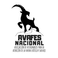 AVAFES Nacional logo, AVAFES Nacional contact details