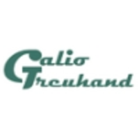 Galio Treuhand logo, Galio Treuhand contact details