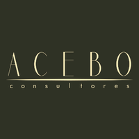 Acebo Consultores S.L. logo, Acebo Consultores S.L. contact details