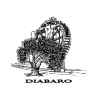 Diabaro logo, Diabaro contact details