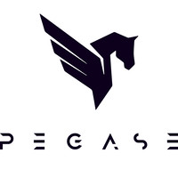 PEGASE logo, PEGASE contact details