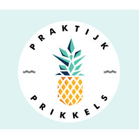 Praktijk Prikkels logo, Praktijk Prikkels contact details