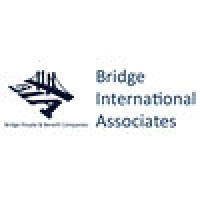 Bridge International Associates logo, Bridge International Associates contact details