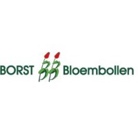 Borst Bloembollen logo, Borst Bloembollen contact details