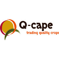 Q-cape b.v. logo, Q-cape b.v. contact details