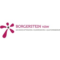 Borgerstein vzw logo, Borgerstein vzw contact details