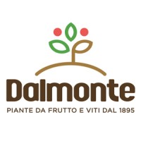 Dalmonte Vivai logo, Dalmonte Vivai contact details