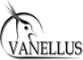 Vanellus managementdiensten logo, Vanellus managementdiensten contact details