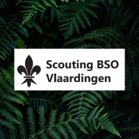 Scouting BSO Vlaardingen logo, Scouting BSO Vlaardingen contact details