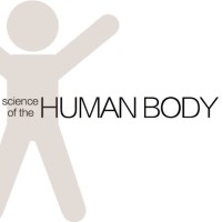 Science of the Human Body logo, Science of the Human Body contact details