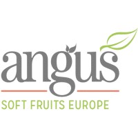 Angus Soft Fruits Europe logo, Angus Soft Fruits Europe contact details