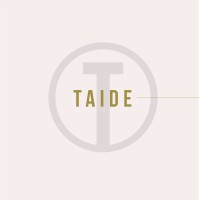 TAIDE I The Agency logo, TAIDE I The Agency contact details