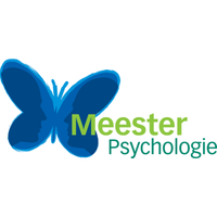 Meester Psychologie logo, Meester Psychologie contact details