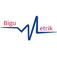 BIGUMETRIK SL logo, BIGUMETRIK SL contact details