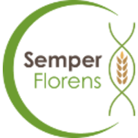 Semper Florens logo, Semper Florens contact details