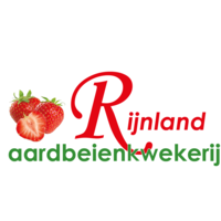 Rijnland Aardbeienkwekerij logo, Rijnland Aardbeienkwekerij contact details