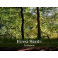 Forest Words - Taalbureau logo, Forest Words - Taalbureau contact details