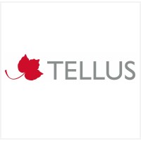 TELLUS IGNIS, SLU logo, TELLUS IGNIS, SLU contact details