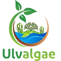 ULVALGAE logo, ULVALGAE contact details