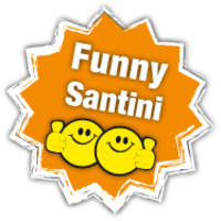 Harry Wubben Flowers & Funny Santini logo, Harry Wubben Flowers & Funny Santini contact details