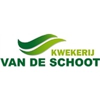 Kwekerij van de Schoot logo, Kwekerij van de Schoot contact details