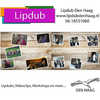 Lipdub Den Haag logo, Lipdub Den Haag contact details