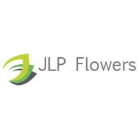 JLP Flowers logo, JLP Flowers contact details