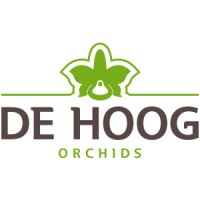 De Hoog Orchids logo, De Hoog Orchids contact details