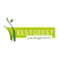 Elstgeest Young Plants logo, Elstgeest Young Plants contact details