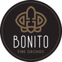 Bonito Plant logo, Bonito Plant contact details