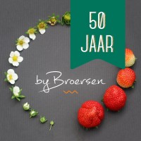 by Broersen logo, by Broersen contact details