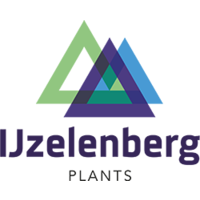 IJzelenberg Plants logo, IJzelenberg Plants contact details