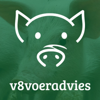 v8voeradvies logo, v8voeradvies contact details