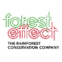 ForestEffect Fund logo, ForestEffect Fund contact details