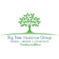 Big Tree Insurance Group logo, Big Tree Insurance Group contact details