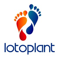 LOTOPLANT, S.L. logo, LOTOPLANT, S.L. contact details