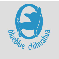 Blueblue Chihuahua logo, Blueblue Chihuahua contact details