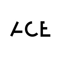 The ACE bag logo, The ACE bag contact details