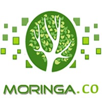 Moringa.co logo, Moringa.co contact details