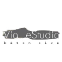 ViaeStudio.nl logo, ViaeStudio.nl contact details