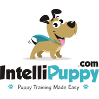 IntelliPuppy.com logo, IntelliPuppy.com contact details