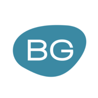 BG Professionals B.V. logo, BG Professionals B.V. contact details