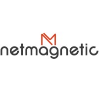 Netmagnetic Software infosolution Pvt LTD logo, Netmagnetic Software infosolution Pvt LTD contact details